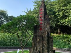 -王借岗森林公园