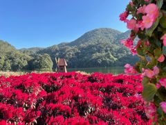 -广州市石门国家森林公园