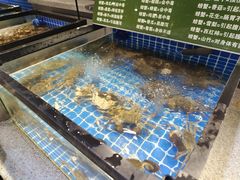 -圣罗巴海鲜自助(黑金店)