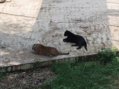 -石家庄市动物园