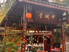 -青城甲(青城山店)