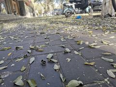 -禾源面馆(文化路四角店)