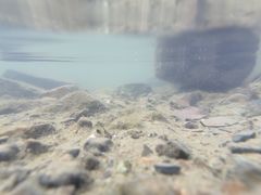 -紫霞湖公园