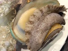 鲍鱼-川骄海鲜自助(河东店)
