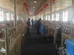 -大鹅岛灶台鱼·铁锅炖(水库路店)