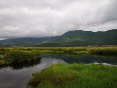 -腾冲北海湿地