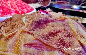 Fresh Beef Tripe from Abattoir