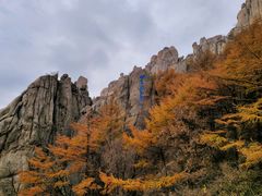 -崂山巨峰游览区