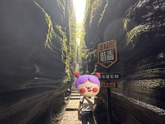 -梭布垭石林景区