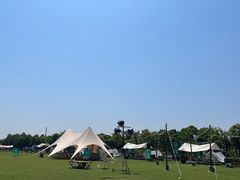 -春花秋色城市公园