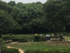 -灵岩山风景区