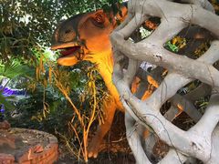 -呀路古热带植物园