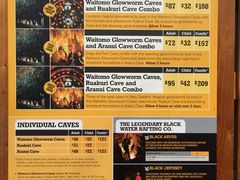 门票-怀托摩萤火虫洞