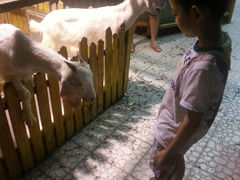 android_upload_pic-上海大自然野生昆虫馆