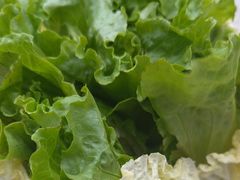 -墨脱石锅椰子鸡•香草鸭•东山羊(大东海店)