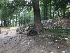 -阳台山自然风景区