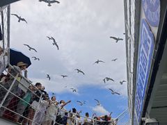 -海驴岛(荣成市)