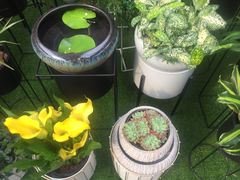 -秦美花卉(天朗·莱茵小城2期店)