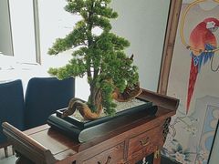 -顺峰(农展馆店)