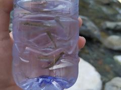 -黑河国家森林公园