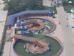 -南戴河国际娱乐中心