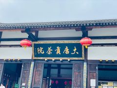 -大唐贡茶院