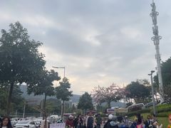 -白石龙音乐公园