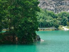 -水濂山森林公园