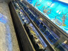 -外滩·云南人家(昆明旗舰店)