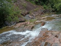 -广州白江湖森林公园