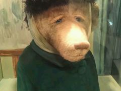 -济州岛泰迪熊博物馆