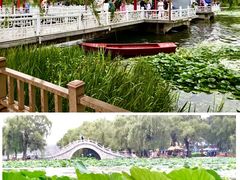 -长春市南湖公园