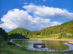 -武陵山森林公园