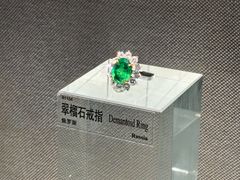 -中国地质博物馆