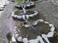 -成都市活水公园