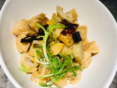 珊瑚藕-老板恋上鱼(恒隆广场店)