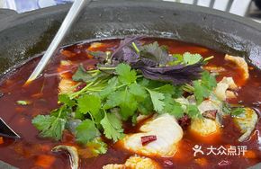 Stone Pot Bighead Fish