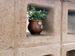 -鑫日千里马朝鲜族小馆(总店)