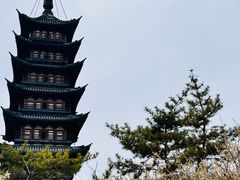 -上海方塔园