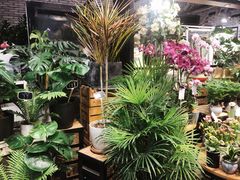 -豆豆花艺(新光天地店)