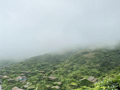 -枸杞岛