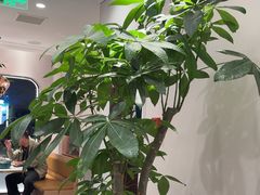 -鹿港小镇(黄金店)