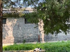-宣武艺园