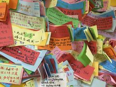 -志龙皇冠吃货椰子铺