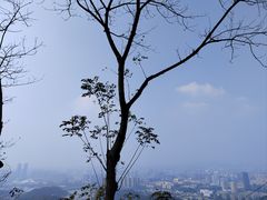 -岳麓山风景名胜区