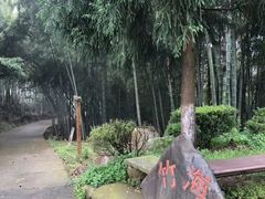 -磐安舞龙峡景区