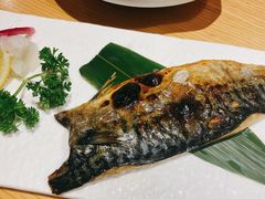 青花鱼-富山日式料理(宽厚里店)