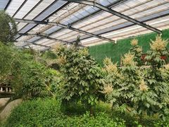 -呀路古热带植物园