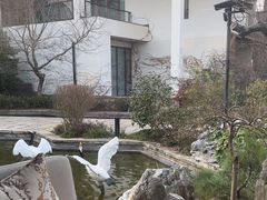 -广富林宰相府酒店·水云间