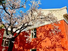 -吉林大学(南岭校区)